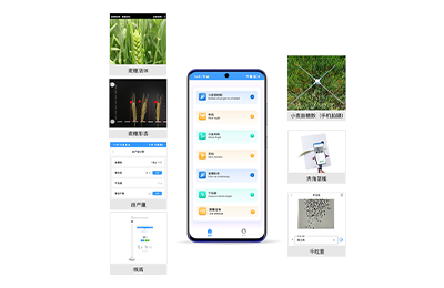 金华市小麦表型检测仪IN-XM04